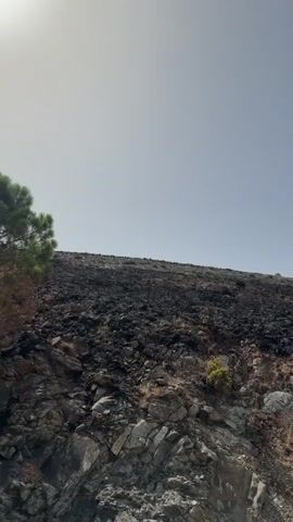 A wildfire has devastated a hillside, leaving behind a landscape of charred earth and scorched vegetation. The ground is covered in a thick layer of black ash, with only a few patches of dry grass and small, resilient plants surviving. The rocky terrain is exposed in places, with sharp, jagged stones indicating the harshness of the environment. In the distance, a few trees stand as silent testaments to the fire's fury, their branches blackened and bare, with only a few green leaves clinging on. The sky above is a clear, pale blue, providing a stark contrast to the devastation below. The sun is shining brightly, casting a warm glow on the scene, but it does little to dispel the somber atmosphere of destruction. The overall impression is one of desolation and a stark reminder of the destructive power of nature.
