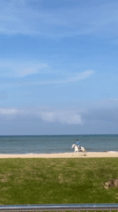 Ordinary afternoon moments captured along Tangier's coast and streets