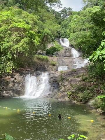 The video shows a tiered waterfall flowing into a green pool. A person is partially submerged in the pool, and a yellow safety line with floats surrounds the swimming area. The waterfall is surrounded by lush green foliage and trees, indicating a natural, possibly tropical, environment. The sky appears overcast.