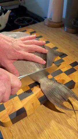 The video shows a person cutting the tail off a fish on a black and gold checkerboard cutting board. The fish is large and gray. The person is using a long, shiny silver knife. The knife is cutting through the tail of the fish with sawing motions. A stovetop and paper towels are visible in the background.