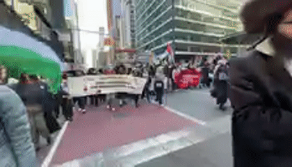 Palestinian flag protest march observed in New York streets