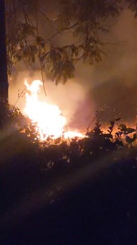 The video depicts a fire burning in a field at night. The flames are bright and there is a lot of smoke. The fire appears to be spreading through the vegetation. There are trees and a utility pole visible in the background, partially obscuring the view. The video is dark and shaky.