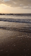 Golden sunset over the Atlantic shore in Costa Adeje