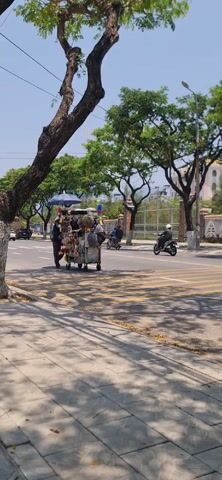 A vendor pushes a cart covered in souvenirs and goods across a street, in a crosswalk, on a sunny day. The cart has an umbrella attached. The vendor is wearing a hat. A motorcycle and a car pass behind the vendor. A large black bus drives past the camera. Trees and buildings are in the background.