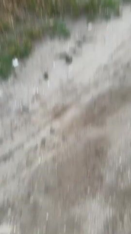 A video captures an outdoor scene with dry grass and a dirt path leading towards a hazy background with industrial smokestacks. The sky is a mix of gray and orange, suggesting either dusk or dawn. The image quality is poor, with significant blur.