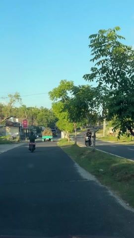 The video shows a road in a tropical or subtropical area during the daytime. The sky is clear and blue. The road is paved and has two lanes. There are green trees lining the road on both sides. On the left side of the road, there are a few buildings. A dog walks alongside the road, heading left to right. Two motorcycles are traveling along the road. The first motorcycle, red, is moving away from the camera. A truck carrying a load of what appears to be firewood is in the distance. The second motorcycle is stopped on the side of the road, right, with a man on it. A white car is also driving away in the distance.