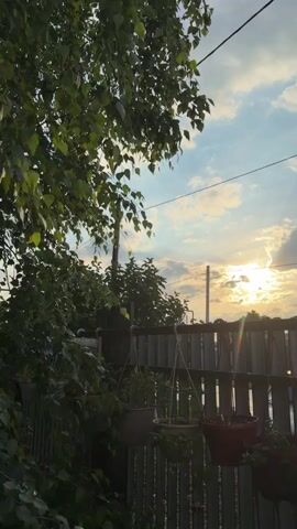A vertical video displays a sunset over a backyard scene. The sun is partially obscured by clouds, casting a warm glow. In the foreground, a fence with vertical planks runs horizontally across the frame. Several hanging planters with green plants are suspended from the fence. To the left, a large tree with green leaves partially covers the scene. The sky above is a mix of blue and white clouds. Electrical wires are visible against the sky.