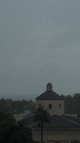 A static, medium-shot vertical video shows a building with a dome, partially obscured by rain or sleet on the window through which the video is being shot. The building is cream-colored with a dark roof, and palm trees are visible below and behind it. The background includes a gray, overcast sky and a hint of water in the distance. The predominant action is the falling of rain or sleet, which is visible both on the window and in the broader scene. No people are visible.