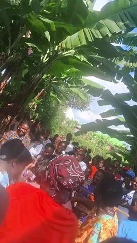 A crowd of people, mostly women, are gathered outside under a canopy of lush, broad-leafed trees. They are closely packed together, and many are smiling and looking in the same direction. A few women are holding a long, thin branch and appear to be pulling on it. The crowd seems to be participating in or observing some type of activity or game. The surroundings feature a variety of foliage and a glimpse of the sky.