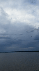 Birds observed flying over Votkinsk Reservoir under cloudy skies
