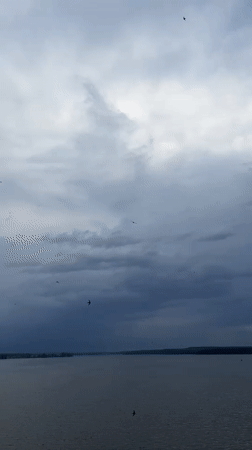 Birds observed flying over Votkinsk Reservoir under cloudy skies