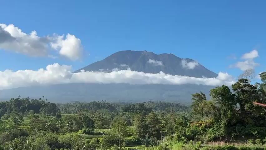 A wide shot captures a majestic volcano dominating the horizon under a bright blue sky dotted with white clouds. The volcano's peak is partially shrouded by a band of fluffy white clouds, giving it a mystical appearance. Below the volcano, a lush green landscape unfolds, featuring a dense forest canopy interspersed with rice paddies. The foreground is a vibrant tapestry of greenery, with trees and vegetation lining the bottom of the frame. The scene appears tranquil and serene, suggesting a rural or natural environment. No people or specific actions are visible in the video.