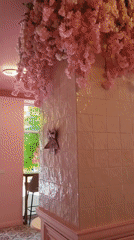 Pink pastry shop interior documented in Stamboliyski, Bulgaria