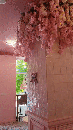 Pink pastry shop interior documented in Stamboliyski, Bulgaria