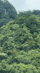 Vehicle captures mountain scenery with waterfall in Sa Pa