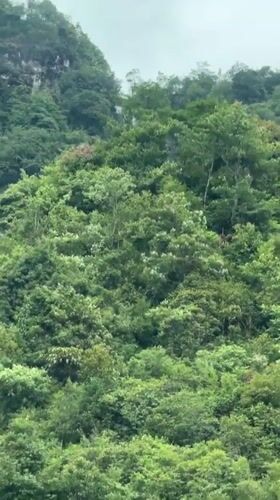 Vehicle captures mountain scenery with waterfall in Sa Pa