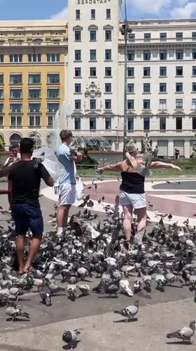 Pigeons and people share a sunny Barcelona plaza