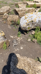 Tourist documents morning visit to ancient Perge ruins in Turkey