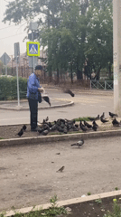 Feeding pigeons on a sidewalk in Irkutsk