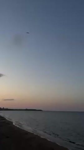 The video depicts a tranquil coastal scene at twilight. The camera pans upward from a sandy beach and the gentle waves of a calm ocean to a gradient sky, transitioning from a light blue at the top to a soft blend of pink and orange near the horizon. A silhouette of land is visible in the distance. A few birds are flying in the clear sky.