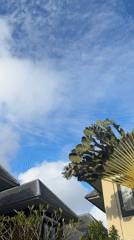 Morning pool maintenance and leisure at Kuta Selatan resort