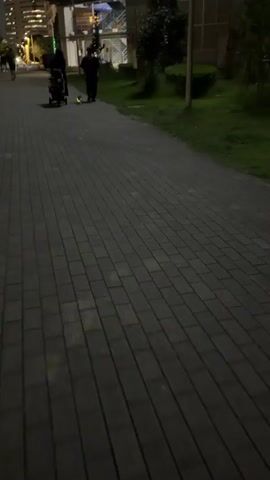 The video shows two people walking at dusk on a paved path. The person on the left is pushing a stroller. The person on the right is walking behind. There are buildings and trees in the background. There is a small, glowing object on the ground between the two people. The object is moving.