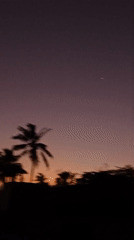 Purple-orange sunset captured over palm trees in Porlamar, Venezuela
