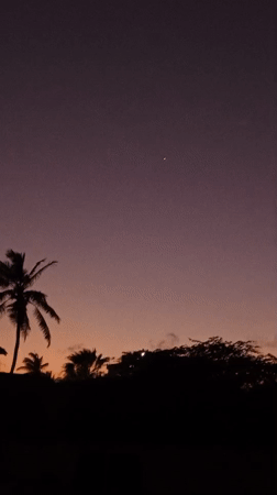 Purple-orange sunset captured over palm trees in Porlamar, Venezuela