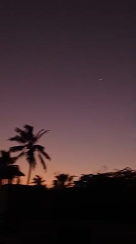 Purple-orange sunset captured over palm trees in Porlamar, Venezuela