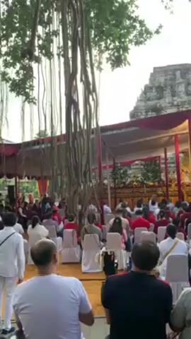 Here is a concise description of the video:

The video shows an outdoor Buddhist ceremony in progress. A large gathering of people, mostly dressed in white, are seated on chairs and mats under a large tent. In the background, a stone structure, possibly a temple or religious site, can be seen. A large banyan tree with long, hanging aerial roots frames the foreground, adding an element of nature to the scene. The overall atmosphere appears to be solemn and respectful.
