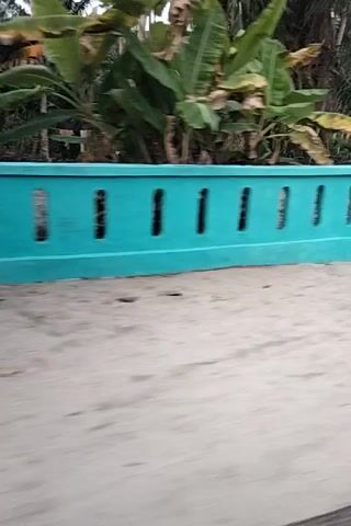 The video shows a close-up, side-angle view of a bright teal-colored concrete barrier, likely a bridge railing or a wall, with a series of rectangular openings. To the left of the barrier, lush green palm trees and other vegetation are visible under an overcast sky. To the right of the barrier is a rough, grey surface, possibly asphalt or concrete, with scattered debris. The camera appears to be moving, giving a sense of forward motion. There are no people visible in the frame.