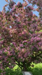 Spring morning captured across Yekaterinburg through 17 diverse urban memories