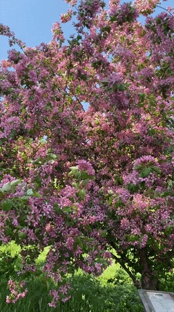 Spring morning captured across Yekaterinburg through 17 diverse urban memories