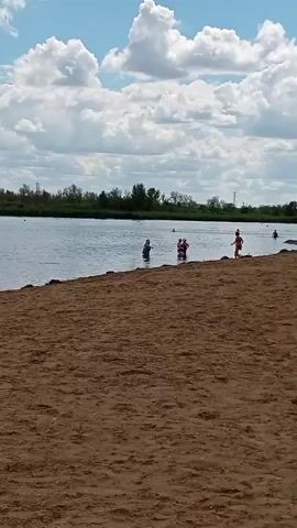 The video shows a sandy beach with a body of water in the background. Several people are visible in the water and on the beach. In the water, there are at least three children wading or swimming. One child is wearing a pink swimsuit, another a blue swimsuit, and a third is partially obscured. On the beach, a person wearing a red shirt is walking towards the water. The sky is blue with fluffy white clouds. The shoreline is lined with vegetation. The sand appears to be a light brown color. The overall scene suggests a warm, sunny day at a beach or lake.