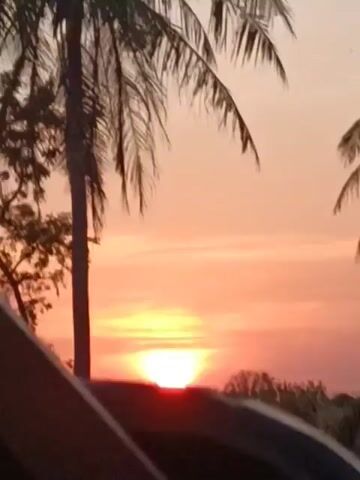 The video shows a time-lapse of a sunset with palm trees in the foreground. The sun is low on the horizon and is a bright orange disk. The sky is a gradient of orange, pink, and purple. The palm trees are silhouetted against the colorful sky. The video is brief and does not show any people or specific interactions. The environment appears to be tropical.