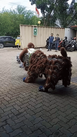 Lion dance performances captivate audiences in Indonesian district