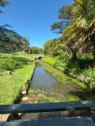 A stream flows through a park on a sunny day. The stream is lined with grass and rocks on the left bank, and lush green vegetation on the right bank. In the distance, a small arched bridge crosses the stream. Trees, including palm trees, and a clear blue sky form the background. The water in the stream is clear and has green aquatic plants growing in it. The view is from a slightly elevated position, possibly a bridge or walkway. There are no people clearly visible in the frame.