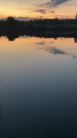 The video shows a serene body of water reflecting the colors of a sunset. The sky above is painted with hues of orange, yellow, and soft pink, with a few scattered clouds. A line of trees and vegetation forms a silhouette against the horizon. The water itself is calm, with gentle ripples distorting the reflection of the sky and the trees. In the water, there are several dark, indistinct shapes visible beneath the surface, possibly submerged objects or aquatic life. The overall impression is one of peace and tranquility, with the natural beauty of the sunset enhanced by the reflective quality of the water.