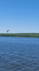 Morning lakeside scenes captured in Chaikovsky, Russia