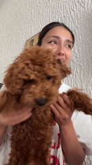 Woman plays with dog, applies cosmetics in Montenegro village