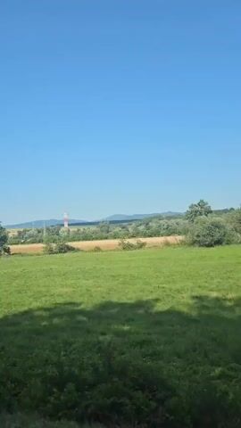 The video shows a bright, sunny day with a clear blue sky. The camera is moving, likely from a vehicle, capturing a rural landscape. In the foreground, there is a patch of green grass and some shadowy foliage, suggesting the viewpoint is from inside a vehicle or near its side. Beyond the grass, there is a large, open field of vibrant green grass. In the middle ground, a few trees are scattered across the landscape, with one larger tree on the left and a cluster of trees further to the right. Across the field, a yellow-ish field, possibly crops or dry grass, is visible. In the far distance, a red and white tower stands against the horizon, and faint hills or mountains can be seen. The overall impression is one of a serene, open countryside scene.