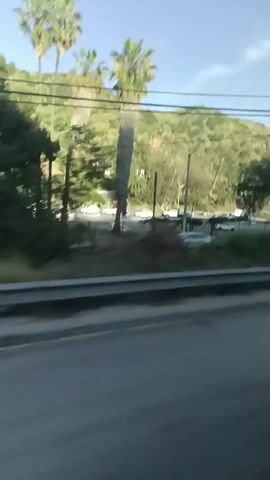 The video shows a highway with trees and grassy hills alongside. Palm trees are seen in the distance. Cars are visible driving on the highway.