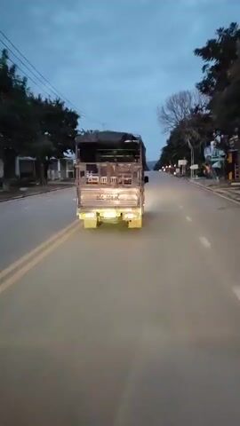 A rear-facing shot shows a truck driving down a road at dusk. The truck has a dark tarp covering its bed and is illuminated by its yellow taillights. The road has two lanes in each direction, separated by a double yellow line. Trees line both sides of the road, and buildings are visible in the distance. The sky is a deep blue, suggesting the sun has set.