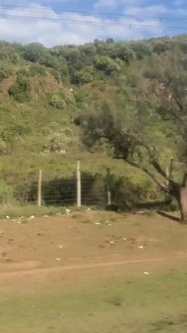 The video shows a rural landscape with a dirt road in the foreground and a grassy field with a wire fence behind it. Trees dot the landscape, some casting shadows on the ground. In the background, a green, hilly area is visible against a partly cloudy sky. The perspective suggests the video was taken from a moving vehicle.