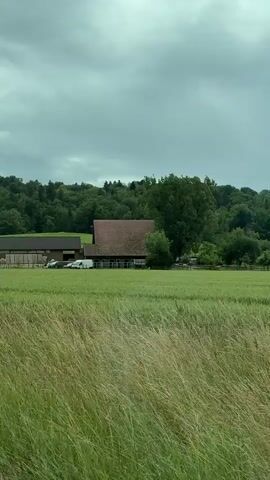 The video captures a tranquil rural landscape, filmed from a moving vehicle in Bülach, Switzerland. The foreground is dominated by vibrant green fields of tall grass, swaying gently. In the mid-ground, a farmstead is visible, featuring a large barn with a distinctive reddish-brown roof and a smaller, darker-roofed building. Fences enclose portions of the farm area, and several vehicles, including a white van, are parked near the buildings. A dense forest of trees forms the backdrop, stretching across the horizon under an overcast and cloudy sky. The scene depicts a calm, pastoral setting on a muted, daylight day. Background audio includes music and faint conversation. No visible text appears in the video.