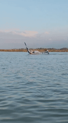 Fishing and boats on a busy waterfront morning