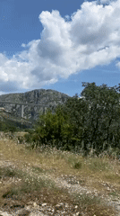 White bridge spans green valley in Montenegro mountains