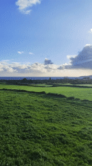 Morning pastoral scenes captured across Portuguese countryside