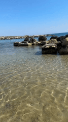 Lazy afternoon at Coral Bay's rocky Mediterranean shore