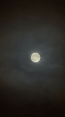 Full moon observed during Princess Mononoke screening in Đà Nẵng